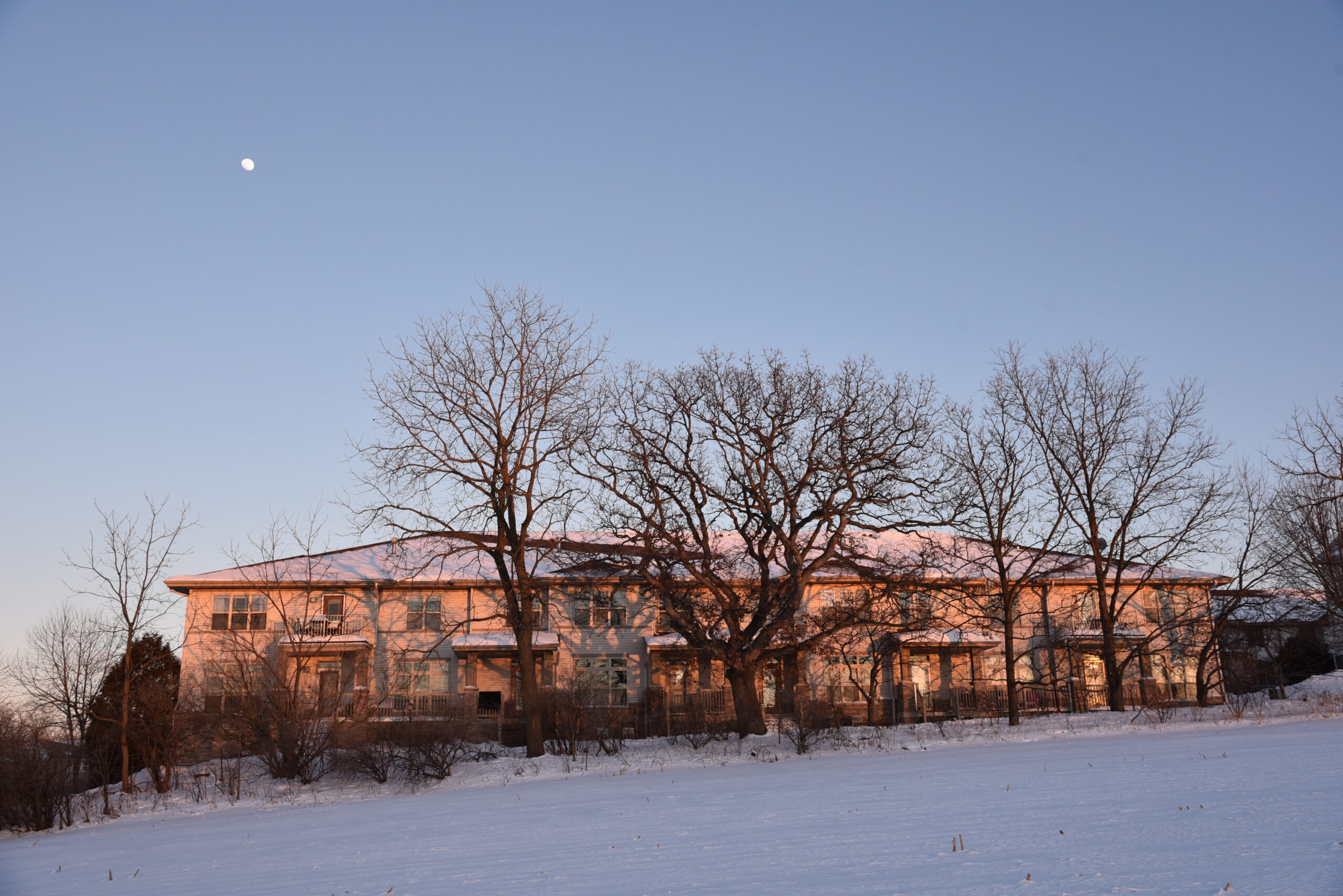 Rockery Pointe units in winter